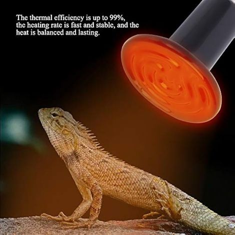 Lampe Chauffante en C¨ramique, Mat¨riau de Composant en C¨ramique Lampe Chauffante E27, Poulaillers pour Environnement Humide, Serpent Tortue et Autres Reptiles (200W) (1/3)