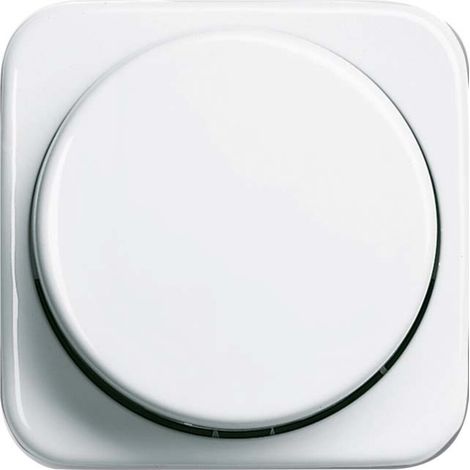 Busch-Jaeger Zentralscheibe aws für Drehdimmer 2115-214 (1/2)