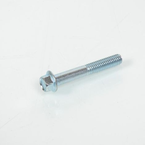 Originalschrauben für Auto Derbi 00g03002091 / m6x40 p1.0 neu