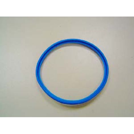 Remeha Guarnizione PPS DN100, M85016