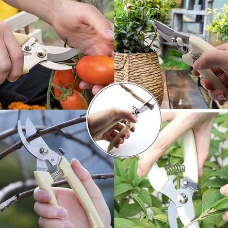 Gartenschere - mit Sicherheitsverriegelung - ausgestattet mit gebogenen und geraden Klingen - zum Beschneiden von Garten- und Topfpflanzen.