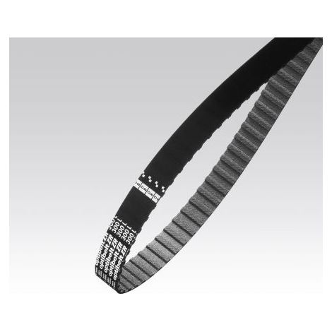 Courroie synchrone OPTIBELT Caoutchouc, 787mm x 19.1mm, 62 dents ( Prix pour 1 )