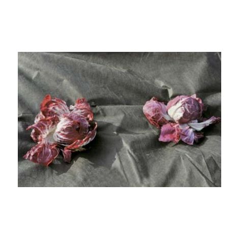 TELO PACCIAMATURA TNT NERO STARS - L.MT 100 H.CM 160 GR/MQ 50 - 1 pezzo (1/3)