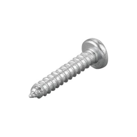 Blechschraube (TORX) 083187