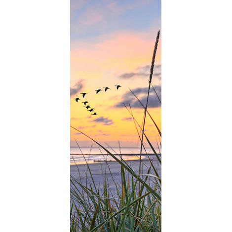 Panneau mural douche en alu-composite VIPANEL - Inspiration Nature Décor Mer 2 - Finition Brillant - 100x255cm (1/5)