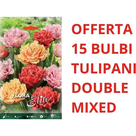 OFFERTA 15 BULBI DI TULIPANO DOUBLE FRINGED MIXED AUTUNNALI BULBS BULBES