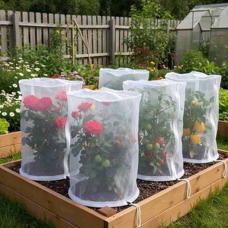 Filet de protection pour plantes en forme de dôme (60 x 60 x 120 cm) en PEHD avec cordon de serrage. Protège des insectes et des oiseaux. Réutilisable (lot de 2). (1/5)