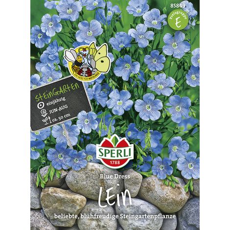 Sperli – Lin à grandes fleurs Blue Dress – Graines de fleurs, annuel, fleurs bleu ciel, hauteur env. 50 cm (1/2)
