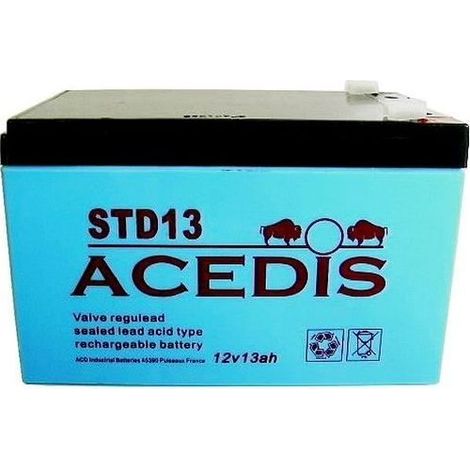 Batterie plomb étanche 12V 13Ah ACEDIS