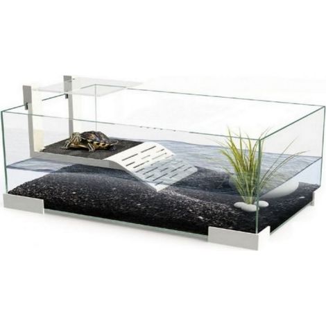 TORTUGUERA 40 PLUS TARTARIUM