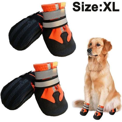 Botas para perros antideslizantes e impermeables para exteriores. (1/5)