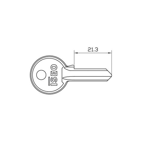 Chiave Grezza per Lucchetto City 3 Spine Lunghezza Mm 21 3 10 Pezzi Iseo