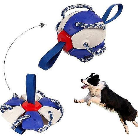 Balle à mâcher pour chien, jouet de tir à la corde rebondissant, disque volant d'extérieur bleu et blanc, chiot (1/5)