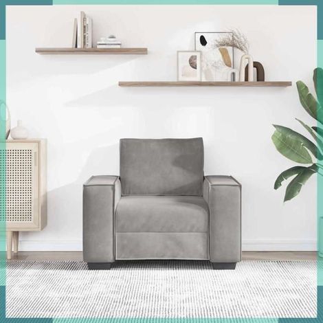 4105000 Fauteuil Gris clair 100x78x84 cm Velours (1/5)