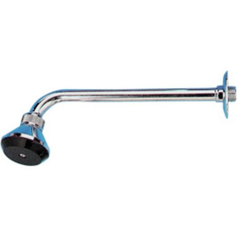 6PL PL BRACCIO DOCCIA CON SOFFIONE CM.30 ART. 0922 (1/2)