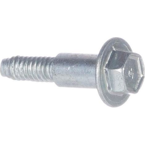 Vite BRIGGS ET STRATTON 596718