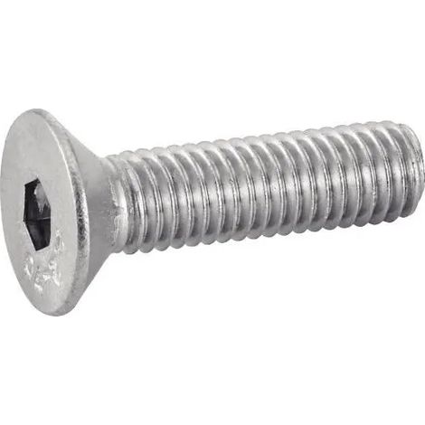 Tornillos Acton 622036X16 acero inoxidable M6x16 200 unidades