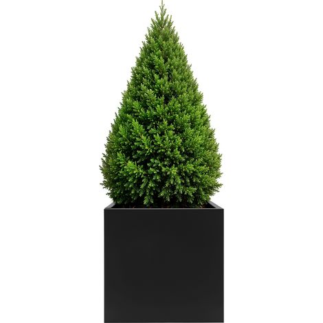 Jardinière cubique d'intérieur et d'extérieur, Pot de fleurs en métal, Boîte à Plantes pour balcon, jardin, et terrasse, 60x60x60 cm, Noir (1/5)