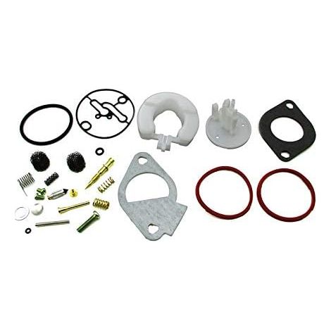 Kit de réparation carburateur pour tondeuse à gazon Briggs-Stratton 11HP-19HP Master Overhaul carburateurs Nikki - (1/4)