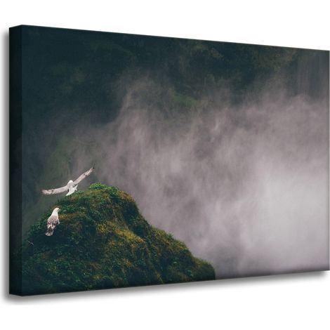 Leinwanddruck Natur aus der Vogelperspektive 70x50 cm