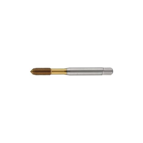 Macho  de  roscar  DIN  2174  (DIN  371)  M6  Forma  C  HSS-Co  TiN  6HX  s.l.  TECWERK (1/2)