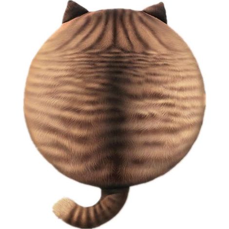 Coussin rond en mousse à mémoire de forme, coussin de chaise, coussin pour animaux de compagnie, motif chat, raton laveur
