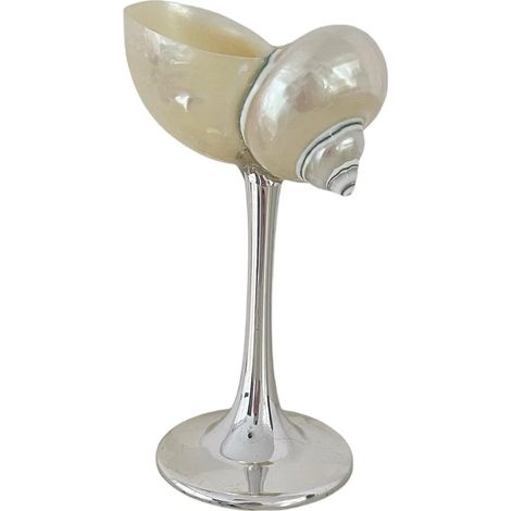 Verre à vin à pied en coquillage naturel, verre artistique en coquillage irrégulier, décoration intérieure.