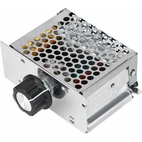 Pair Variateur pour Moteur 220V, Régulateur de Tension AC 4000W, Régulateur de Vitesse pour Moteur électrique Variateur, Plage de Tension Réglable de 10v à 220v-RAPANDA