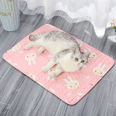 Tapis de sol imperméable pour chien, coussin rafraîchissant pour canapé, tapis de couchage doux pour la peau du chat, matelas rafraîchissant et respirant pour animaux de compagnie (1/4)