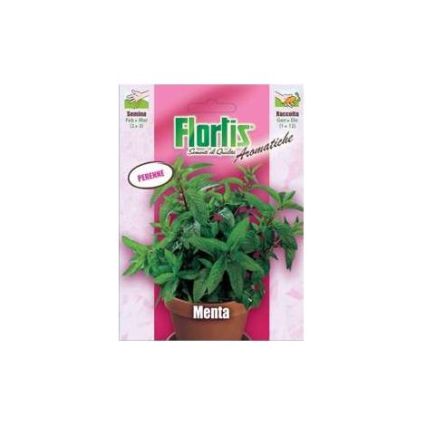 sementi menta (1/2)