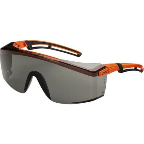Lunettes De Protection - Oculaire Panoramique Avec Protection Laterale - Pour Atelier Et Chantier - 1 Piece
