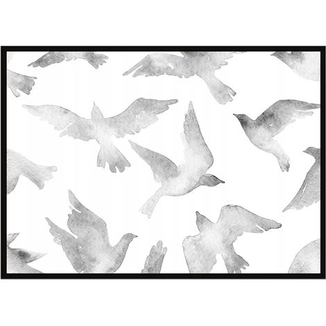 Bild Poster im Rahmen 43x33 cm Vögel P929 (1/3)