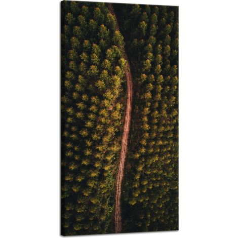 Leinwanddruck Naturstraße aus der Vogelperspektive 40x80