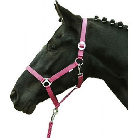 Capezza per cavalli con imbottitura sulla nasalina modello Stars economy Softice: Shetland 0, Corallo Neon 3008