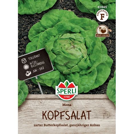 Sperli Butterkopfsalat Mona - Gemüsesamen (1/2)