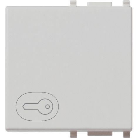 VIMAR - 14022.P.SL 2M Schlüsselsymbol Silber