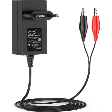 Chargeur au Plomb scellé 6V 0,5A pour Batterie Équipé de pinces rouges et noires, Voyant LED, BMS intégré, léger, Compact, Portable, pour etc.(non pour 12V) (1/5)