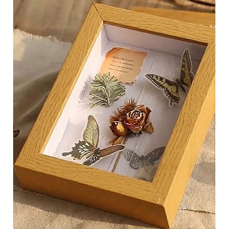 Cadre photo boîte à ombres, cadre pour fleurs séchées, présentoir de bureau pour spécimens, support pour bricolage (1/5)