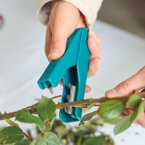 Outil en plastique pour enlever les épines de roses, permettant de couper les tiges et les feuilles de fleurs pour le jardinage et l'art floral. (1/5)