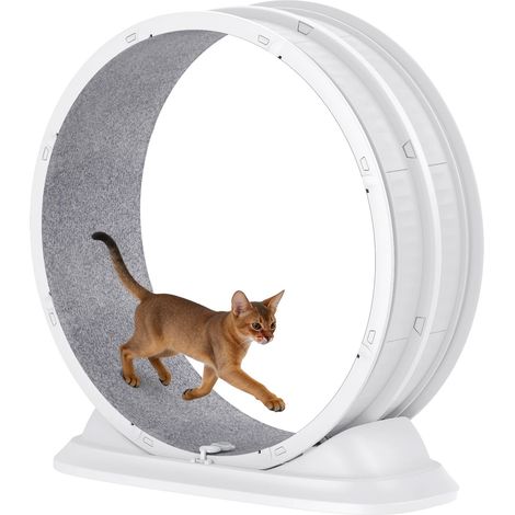 Rueda de ejercicio para gatos ultrasilenciosa y fácil de limpiar, color blanco. (1/2)