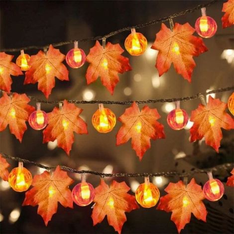 Lanterne LED Halloween - Ulisem - 3M 20 LEDs - Citrouille Érable - Lumière Chaude (1/5)