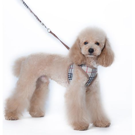Harnais et laisse pour petits chiens XS (1/4)