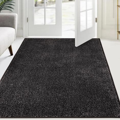 Dust Catcher Door Mat 120 x 180 cm Non Slip Floor Mat Machine Washable Entrance Mat with Soft Absorbent Microfibres for Dogs, Entrance, Door and Hallway (1/5)