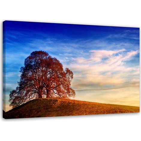 Tableau sur toile Arbre sur une colline Nature 60x40 (1/5)