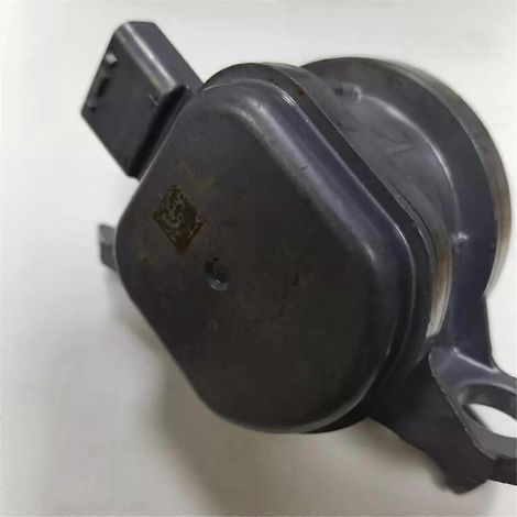 Inverter-Wasserpumpe für BZ4X 2022-- (1/5)