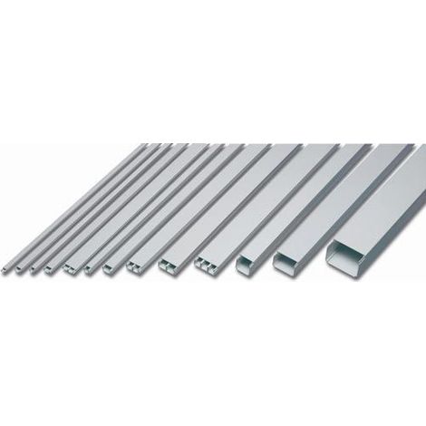 Minicanalina con coperchio 40x25 barre da 2 metri VARRS71562