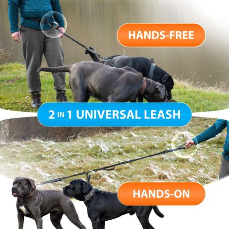Laisse mains libres pour 2 chiens, ceinture ventrale réglable, double laisse mains libres avec ceinture amovible, poignées rembourrées, élastique amortisseur pour la marche, le jogging et la randonnée
