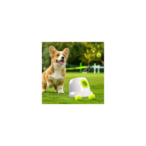 Lanzador automático de pelotas para perros, lanzador interactivo de pelotas de tenis para perros pequeños y medianos, juguete interactivo para la estimulación mental de perros con 3 pelotas, versión m