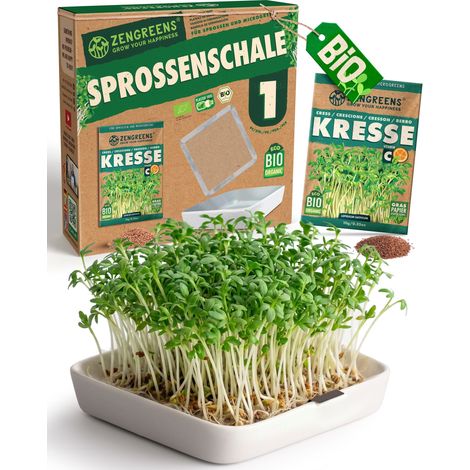 Keimschale Keramik mit Edelstahl Kressesieb und Bio Kresse Samen