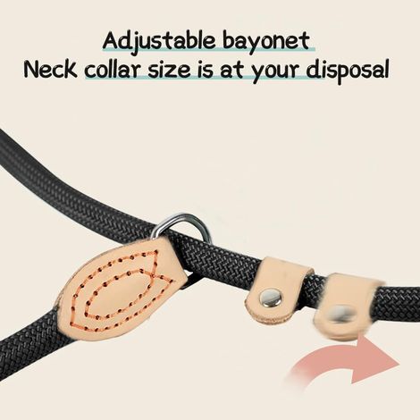 Laisse pour chien ajustable, longe en nylon tressé robuste pour dressage, promenade et randonnée, résistante et confortable, 1,5 m x 8 mm (1/5)